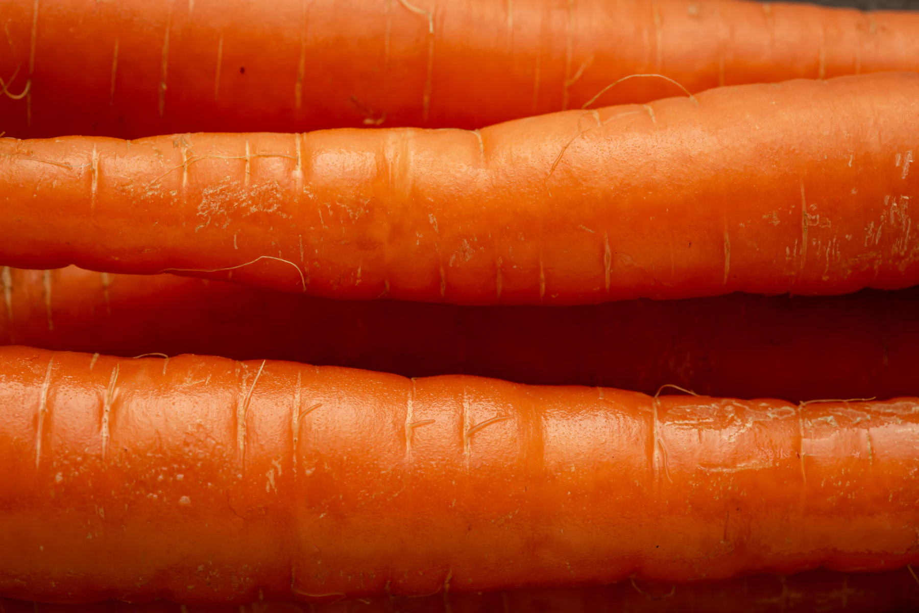 Carrots (dried and ground)