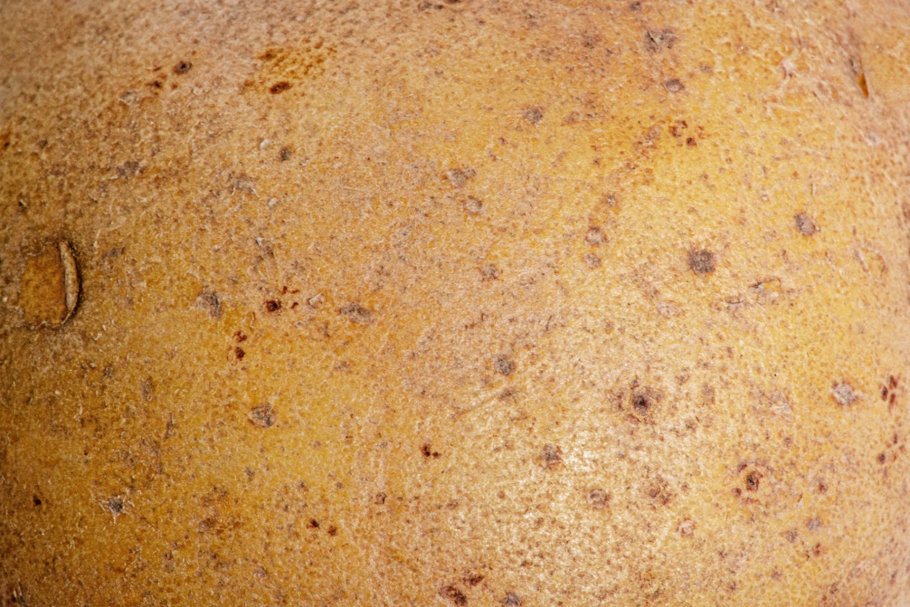 Potato Starch, Potato Flour and Potato Fibres