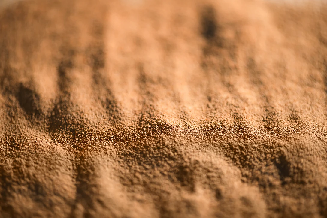 Chicory Root Powder